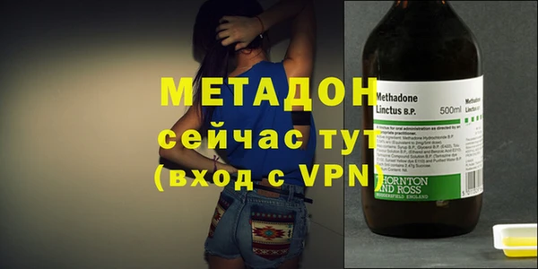 хмурый Аркадак