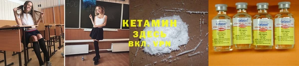 хмурый Аркадак