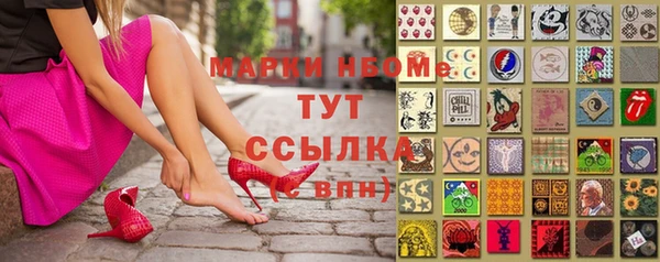 хмурый Аркадак