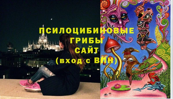 прущие крисы Арсеньев