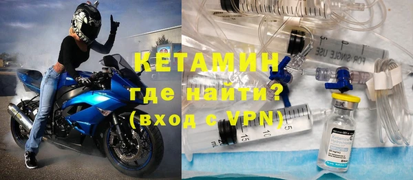 хмурый Аркадак