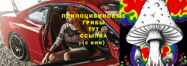 хмурый Аркадак