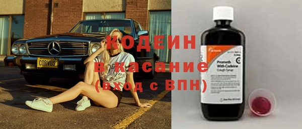 хмурый Аркадак